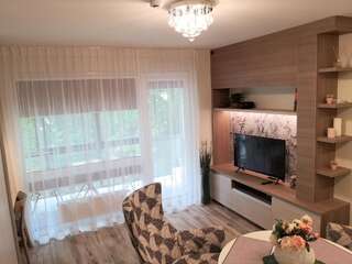 Апартаменты Apartment by the Linden trees Вильнюс Апартаменты с 1 спальней-1